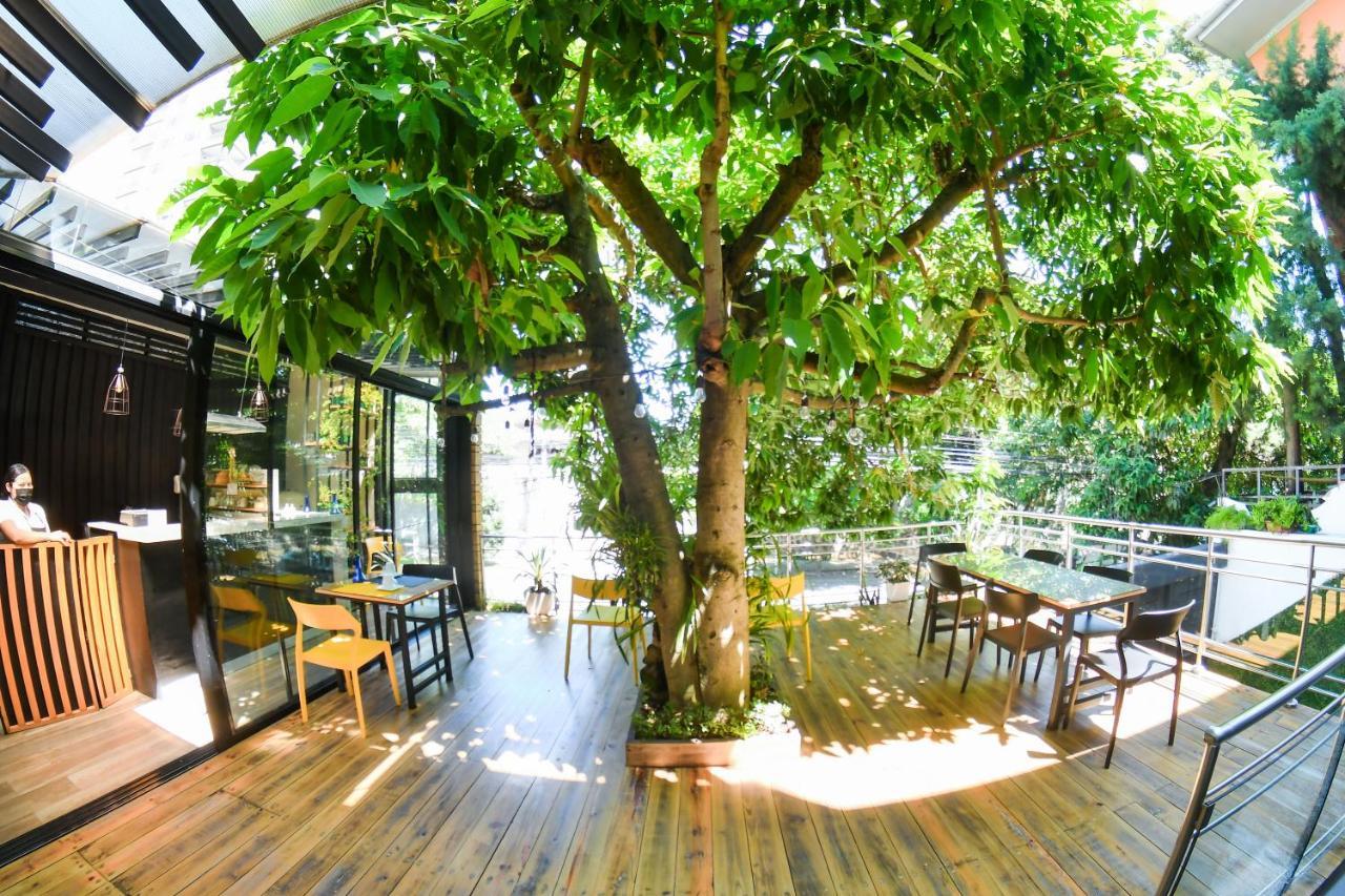 Kaleo Hotel Boutique San Salvador Ngoại thất bức ảnh