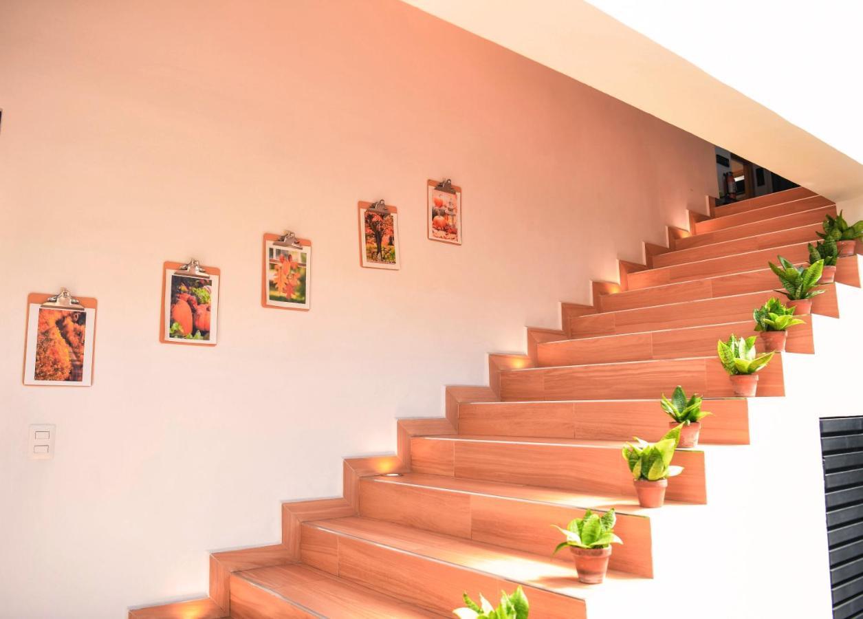 Kaleo Hotel Boutique San Salvador Ngoại thất bức ảnh